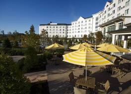 Dollywood's DreamMore Resort 写真