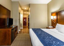 コンフォート スイーツ マトゥーン イースト 写真