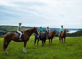 テラス ダウンズ 写真
