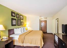 クオリティ イン 写真