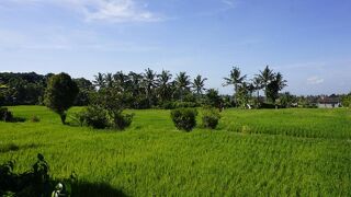 サリ バンブー バンガローズ