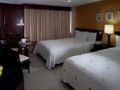 ホデルパ セントロ プラザ ホテル 写真