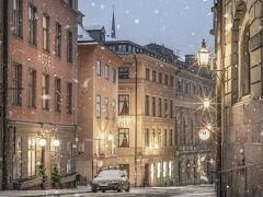 コレクターズ レディー ハミルトン ホテル 写真