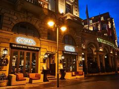 シュタイゲンベルガー フランクフルター ホフ 写真