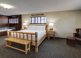 ストーニー クリーク ホテル クアッド シティーズ - モリーン 写真