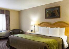 コンフォート イン&スイーツ 写真