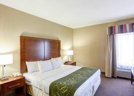 コンフォート スイーツ 写真