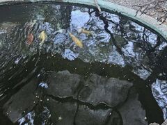 シダー ロッジ モーテル 写真