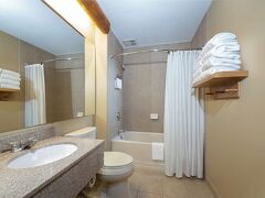 グレート ウルフ ロッジ ナイアガラ フォールズ 写真