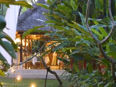 コマネカ アット モンキー フォレスト ウブド 写真