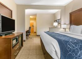 コンフォート スイーツ ベイツビル 写真