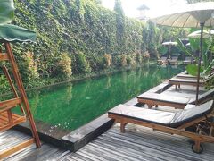 サポディラ ウブド 写真