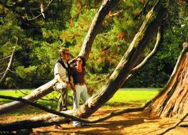 Wellnesshotel Allmer 写真