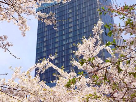 Sofitel Ambassador Seoul Hotel & Serviced Residences 写真