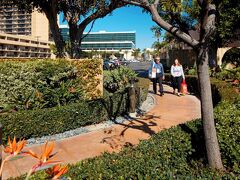 コートヤード バイ マリオット アナハイム リゾート／コンベンション センター 写真