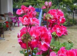 レ ジャン ドゥ メール ラ ロシェル 写真