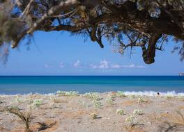 アリアントス エステート リゾート - エクス アリアントス ガーデン 写真