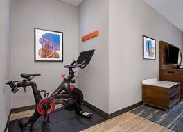 ハンプトン イン & スイーツ マンシー 写真