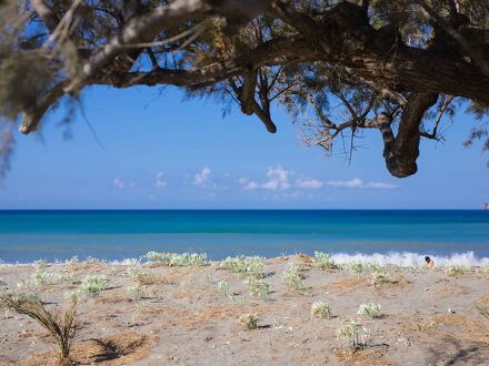 アリアントス エステート リゾート - エクス アリアントス ガーデン 写真