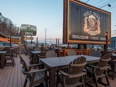 ワイルド ベア イン 写真