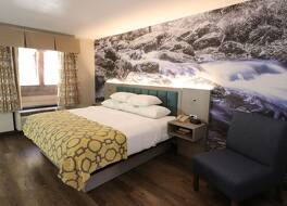 ベイモント バイ ウィンダム ガットリンバーグ オン ザ リバー 写真