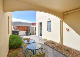 Bella Vista Motel Dunedin 写真