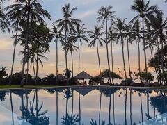 アリラ マンギス 写真