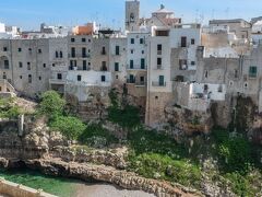 コボ デイ サラセニ 写真