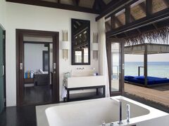 ココ ボドゥ ヒシ 写真