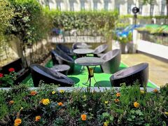 ハイド パーク インターナショナル 写真