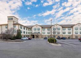 エクステンデッドステイアメリカセレクトスイーツシカゴリズル 写真