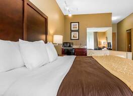 コンフォート イン & スイーツ ミシャワカ - サウス ベンド 写真