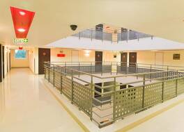 Ginger Mysore 写真