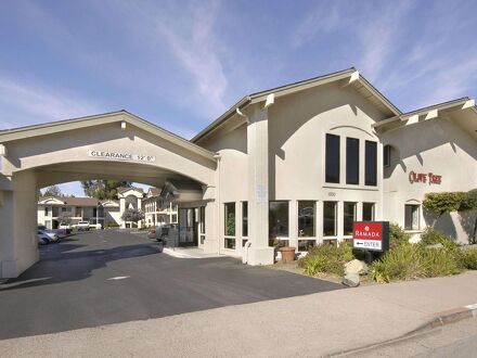 Olive Tree Inn & Suites 写真