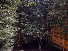 A トレイン ホテル 写真