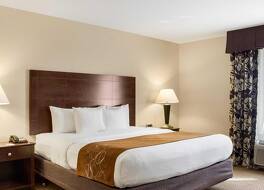 コンフォート スイーツ カンファレンス センター ラピッド シティ 写真