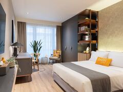 ダッシュ リビング オン プラット 写真