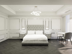 シエナ プリモ 写真