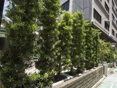 ドイツ ホテル 写真