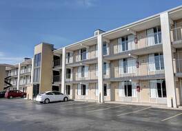 フィドラーズ イン 写真