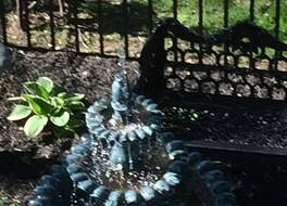 ギンゴウ ツリー イン 写真