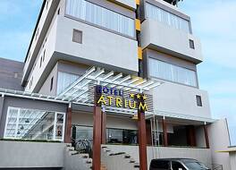 アトリウム プレミア シラカップ 写真