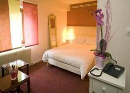 Brit Hotel, Spa & Restaurant - Colmar Est 写真