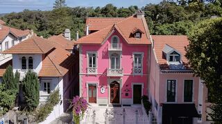 シントラ マルモリス カメリア