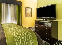 コンフォート イン アテネ 写真