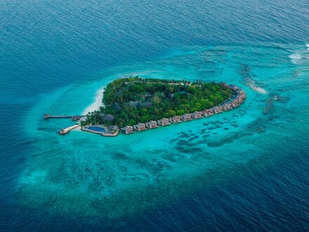 タージ コーラル リーフ リゾート アンド スパ モルディブ - プレミアム オール インクルーシブ ウィズ フリー トランスファーズ 写真