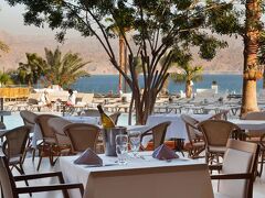 オーキッド エイラット 写真