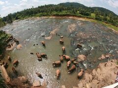 ホテル ピンナワラ 写真