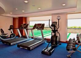 フォーチュン JP パレス マイソール メンバー ITC ホテルズ グループ