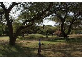 Lake Natron Tented Camp 写真